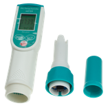 pH-2024 - 2